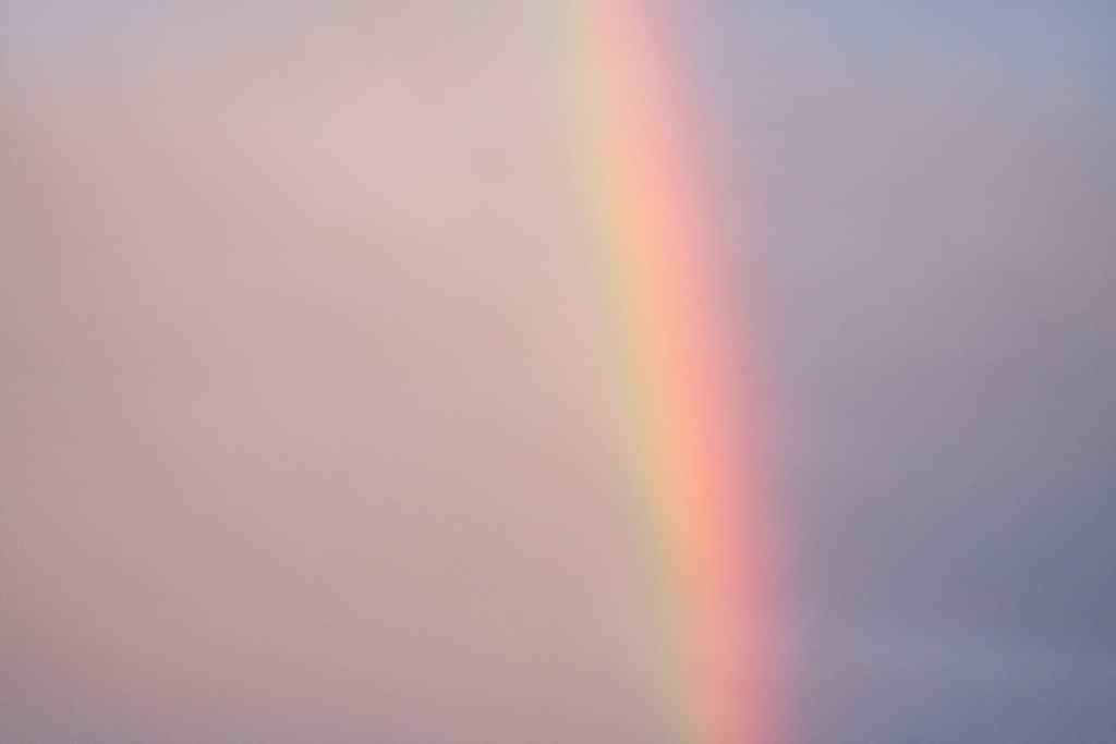 Sunscreens: are they all created&nbsp;equal?