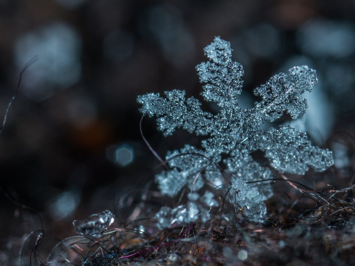 Wintertime Wonders: the stunning science of&nbsp;snowflakes