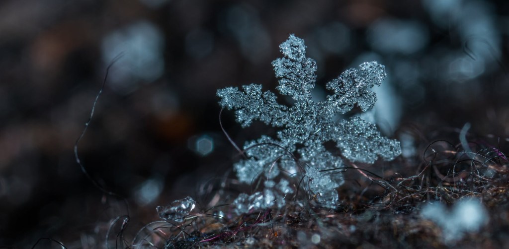 Wintertime Wonders: the stunning science of&nbsp;snowflakes